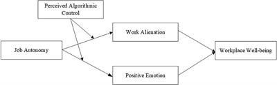 Navigating autonomy: unraveling the dual influence of job autonomy on workplace well-being in the gig economy